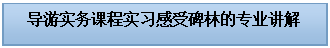 文本框: 导游实务课程实习感受碑林的专业讲解